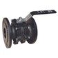 BAV-0302 DN65-DN200